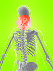 Similar image 8192797