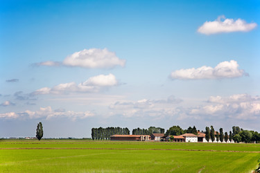 Similar image 8192810