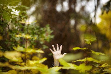 Similar image 8192847