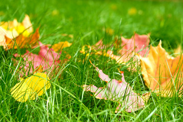 Similar image 8192854