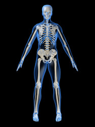 Similar image 8192873