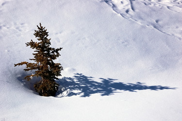 Similar image 8192882