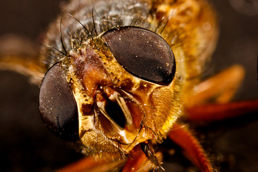 Similar image 8192912