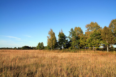 Similar image 8192916