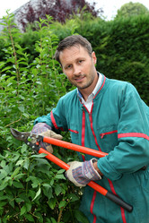 Similar image 8192934