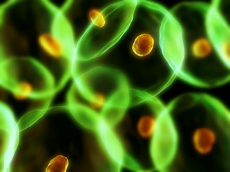 Similar image 8192955