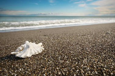 Similar image 8192961