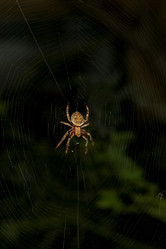 Similar image 8192974