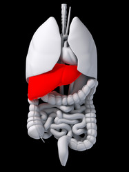 Similar image 8192980