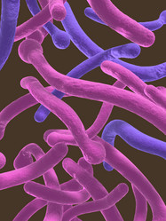 Similar image 8192986