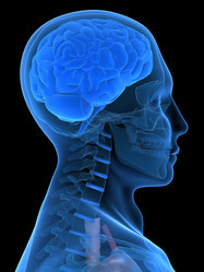 Similar image 8192997