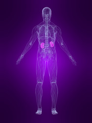 Similar image 8193000