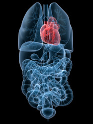 Similar image 8193006