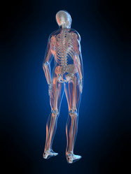 Similar image 8193032