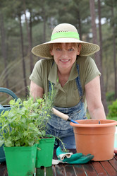 Similar image 8193071