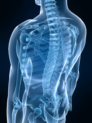 Similar image 8193073