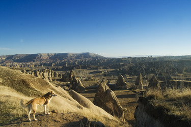 Similar image 8193078