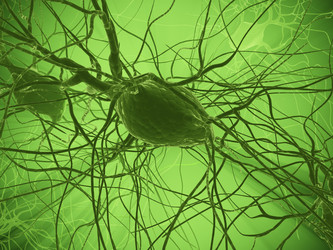 Similar image 8193079