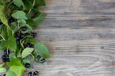 Similar image 8193092