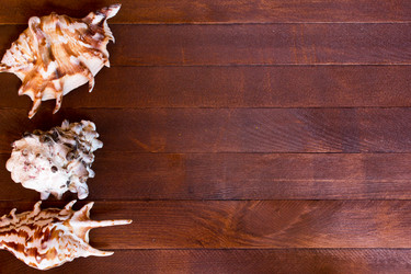 Similar image 8193097