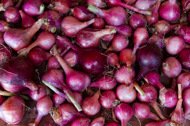 Similar image 8193101