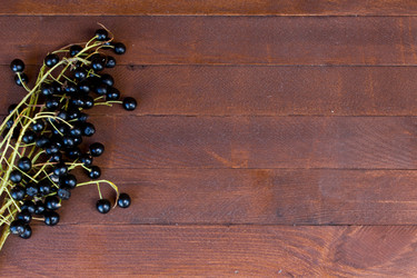 Similar image 8193104