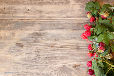 Similar image 8193106