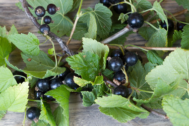 Similar image 8193108