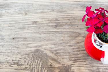 Similar image 8193228