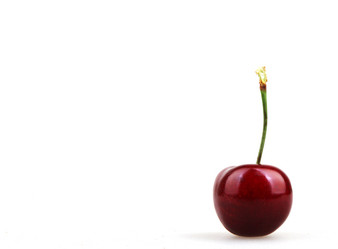 Similar image 8193257