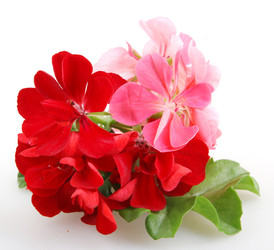 Similar image 8193263