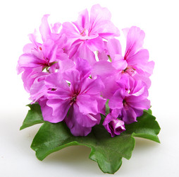 Similar image 8193287