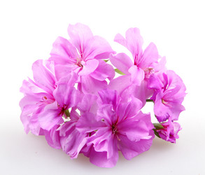 Similar image 8193288