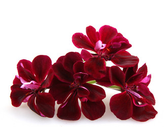 Similar image 8193293