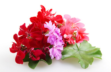 Similar image 8193295