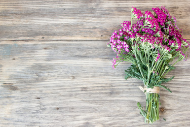 Similar image 8193297