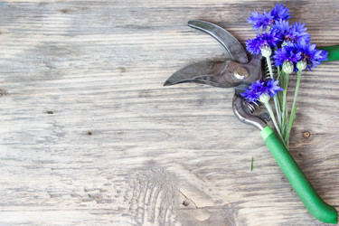 Similar image 8193299