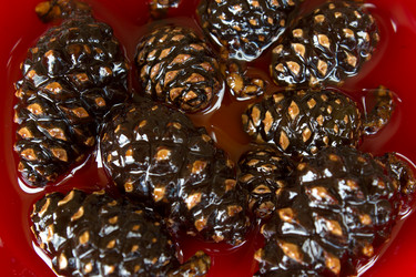 Similar image 8193311