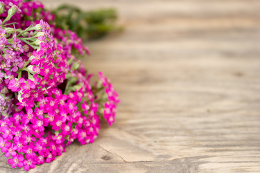 Similar image 8193314