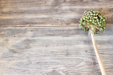 Similar image 8193316