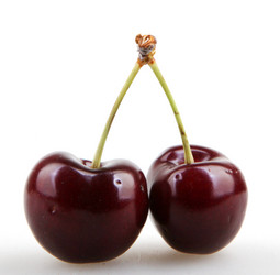 Similar image 8193318