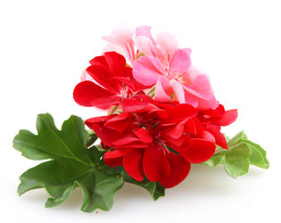 Similar image 8193320