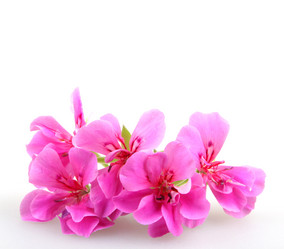 Similar image 8193324