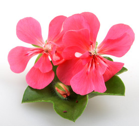 Similar image 8193329