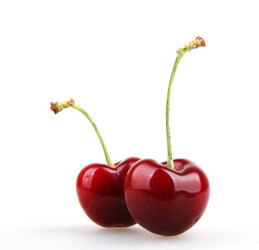 Similar image 8193331