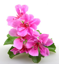 Similar image 8193333