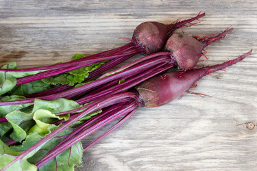 Similar image 8193336