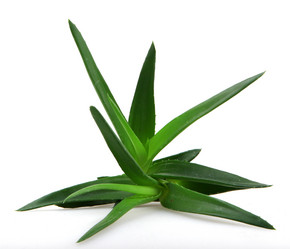 Similar image 8193337