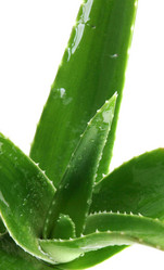 Similar image 8193338