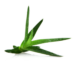 Similar image 8193339